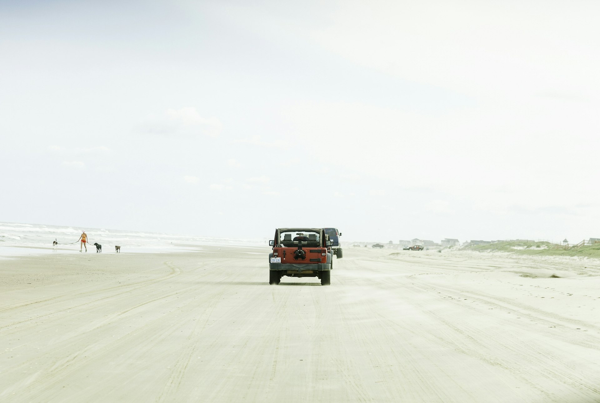 A jeep drives down the centre of Carova Beach, a long white stretch of sand backed by dunes. Nearby a person walks their dogs at the water's edge.