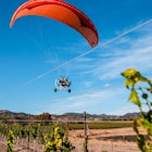 An orange parachute carries a paraglider through a blue sky above the grape vines at a vineyard in San Luis Obispo County, Calfifornia