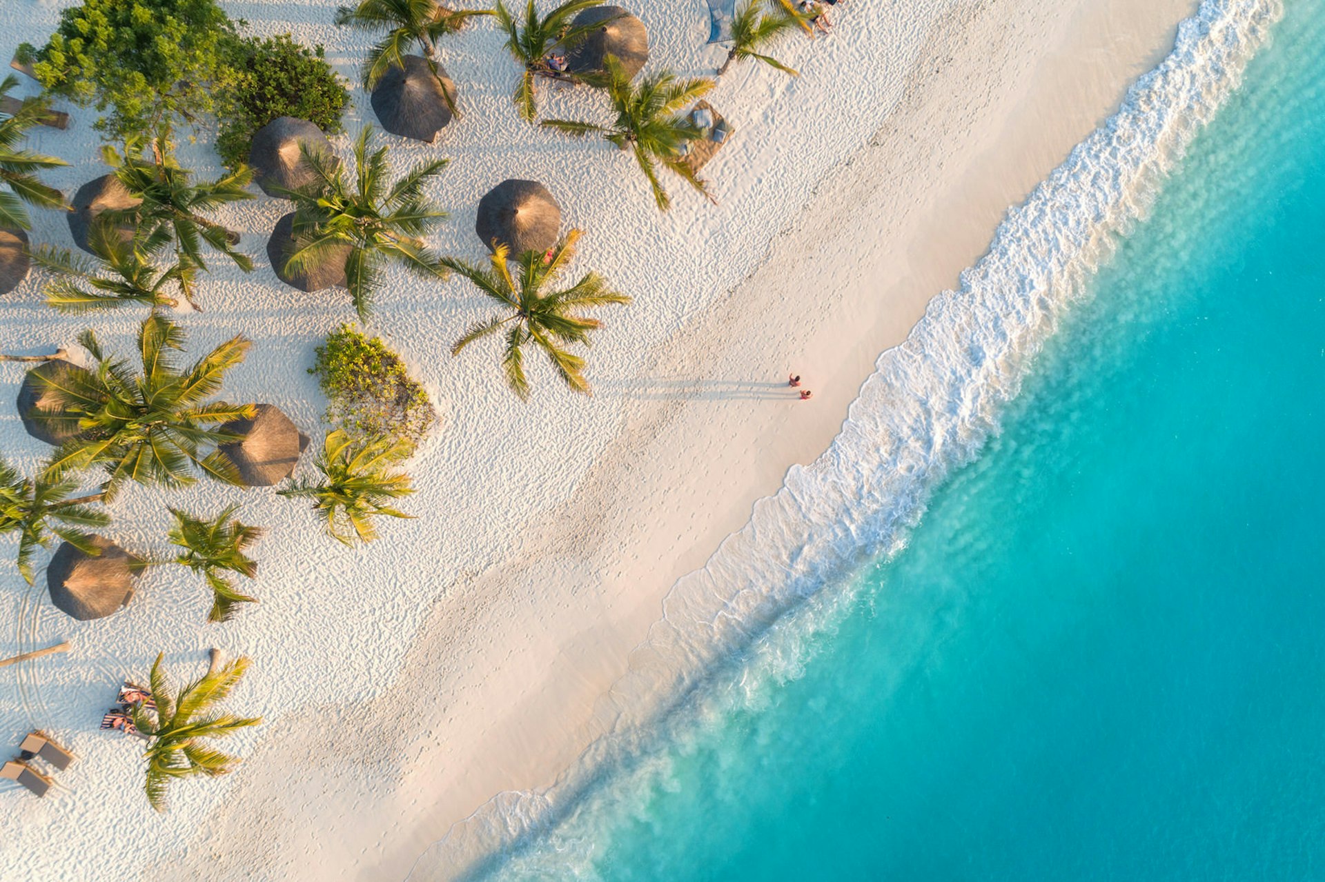 Aerial view of umbrellas and palms on the sandy beach of Indian Ocean at sunset in Zanzibar 