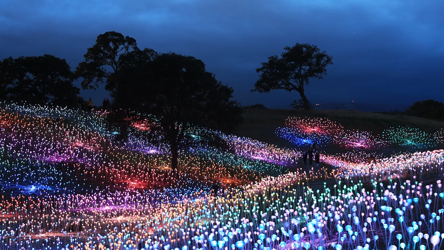 A packed field of multicolored lights at night