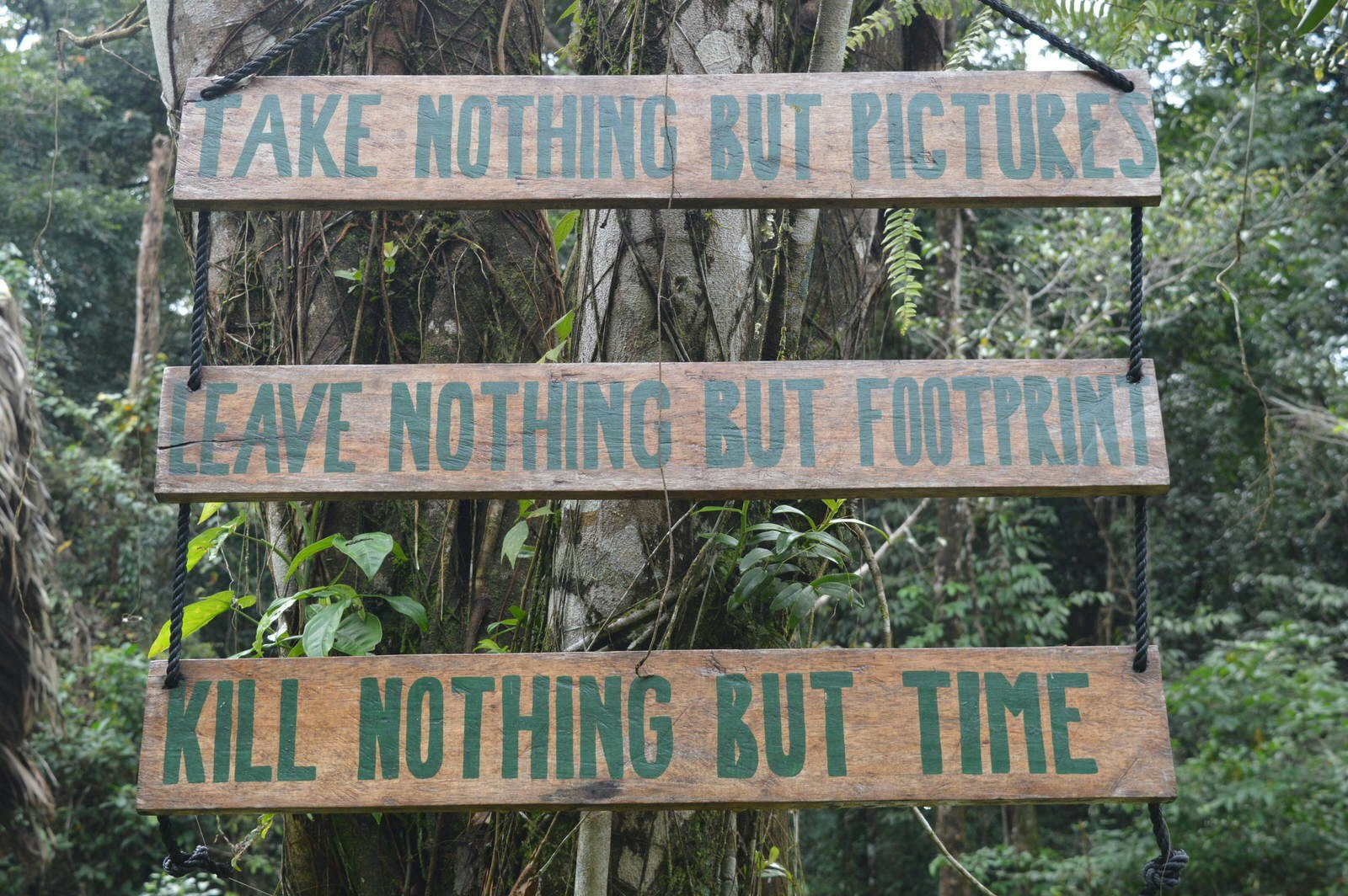 A wooden sign in front of a jungle reading 'take nothing but pictures, leave nothing but footprints, kill nothing but time'