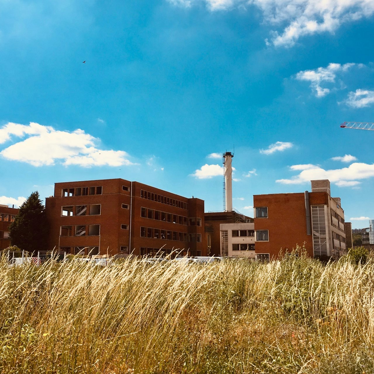 Industrial building in a field of grass