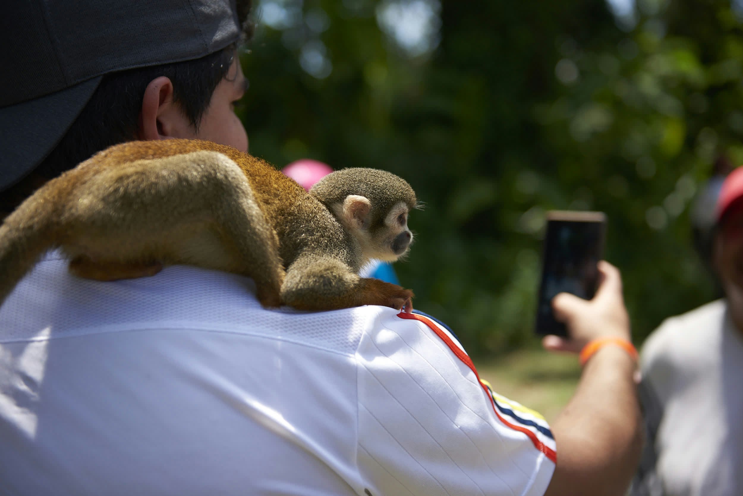 wildlife selfies