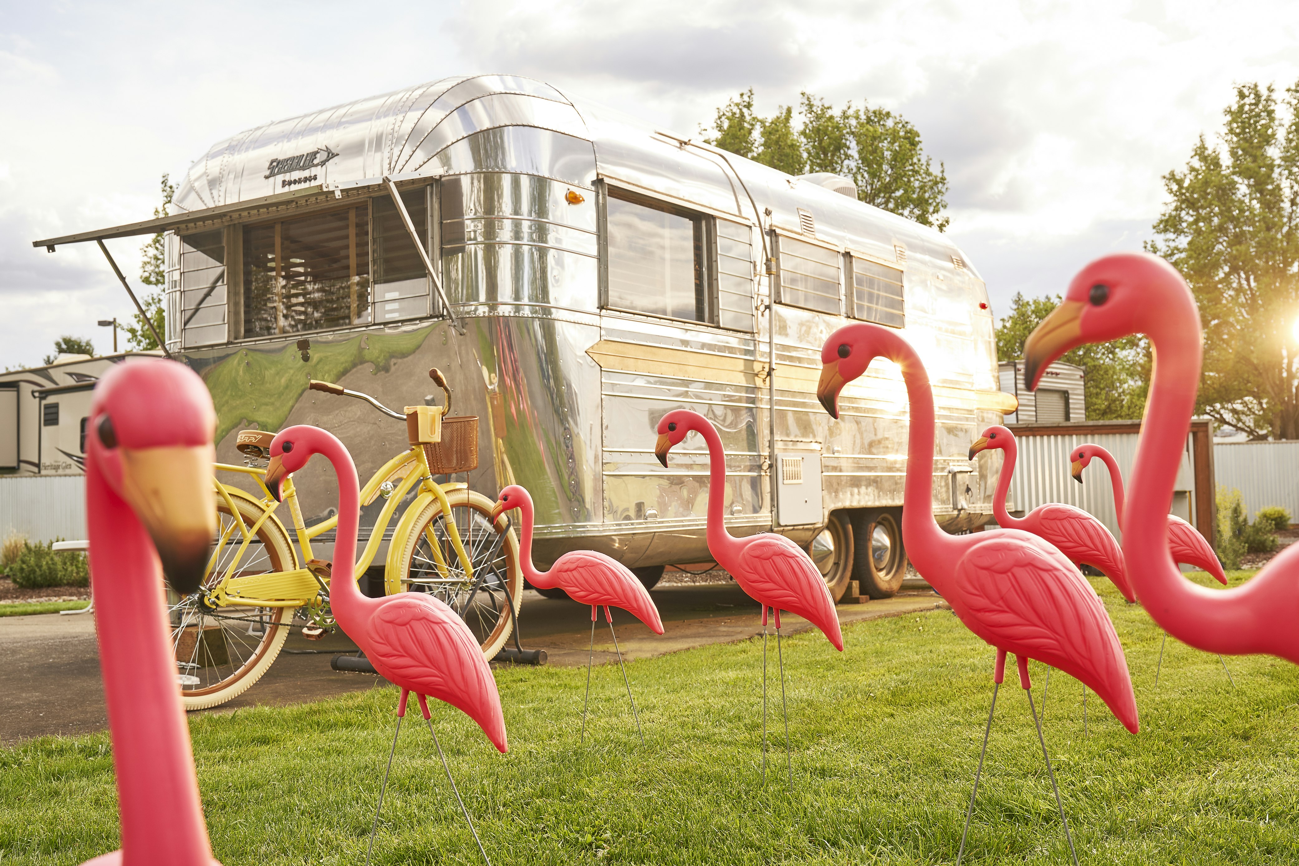 A silver vintage camping trailer with a metal awning tipped up to show a window on the end sits on a paved drive by a neatly clipped green lawn. The lawn is covered in eight pink plastic flamingo lawn ornaments, one of which is comically facing the viewer. A yellow beach cruiser bicycle sits by the trailer. The sun peaks through the trees in the background.