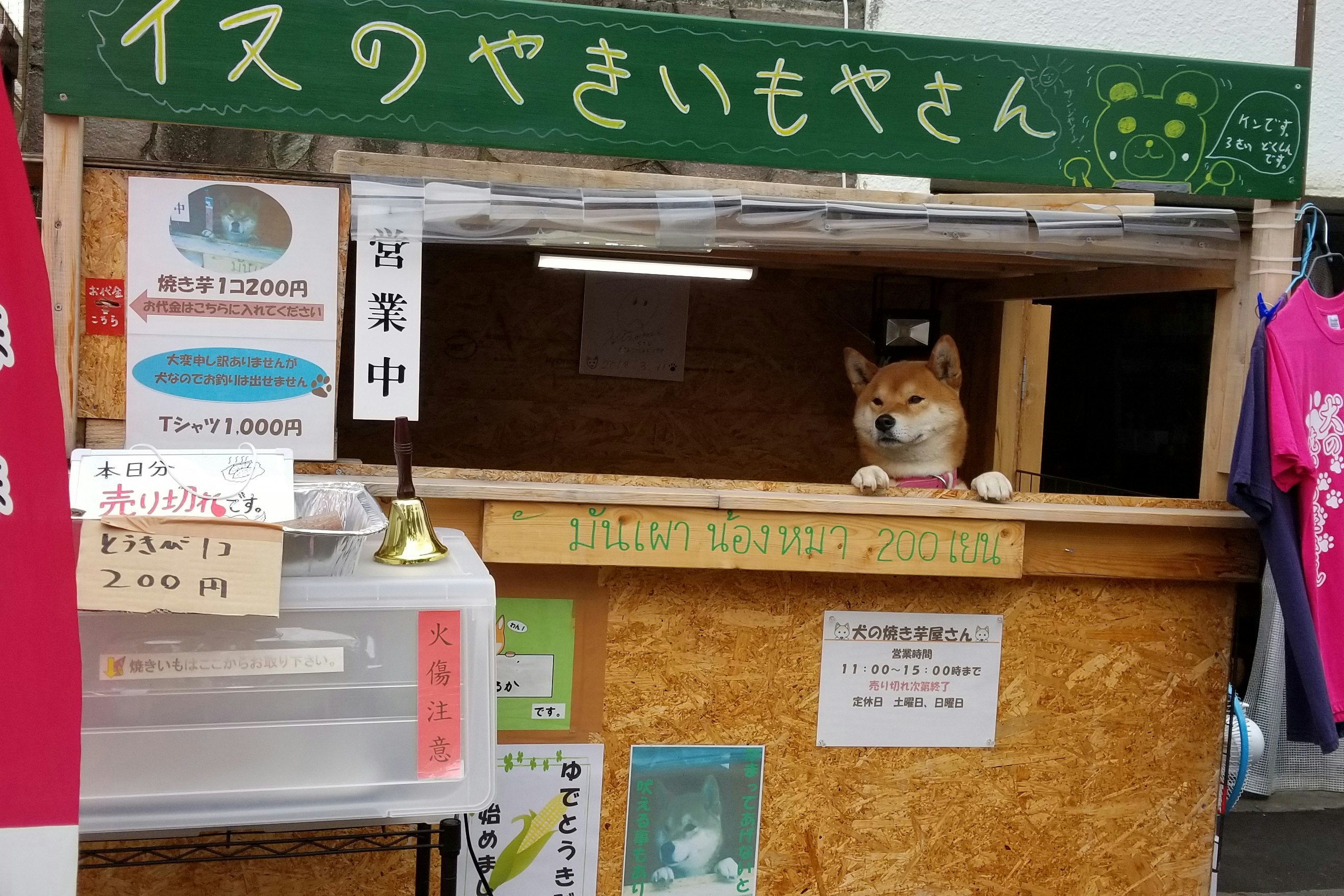 A wide shot of Ken-kun's food stand, with signage all around
