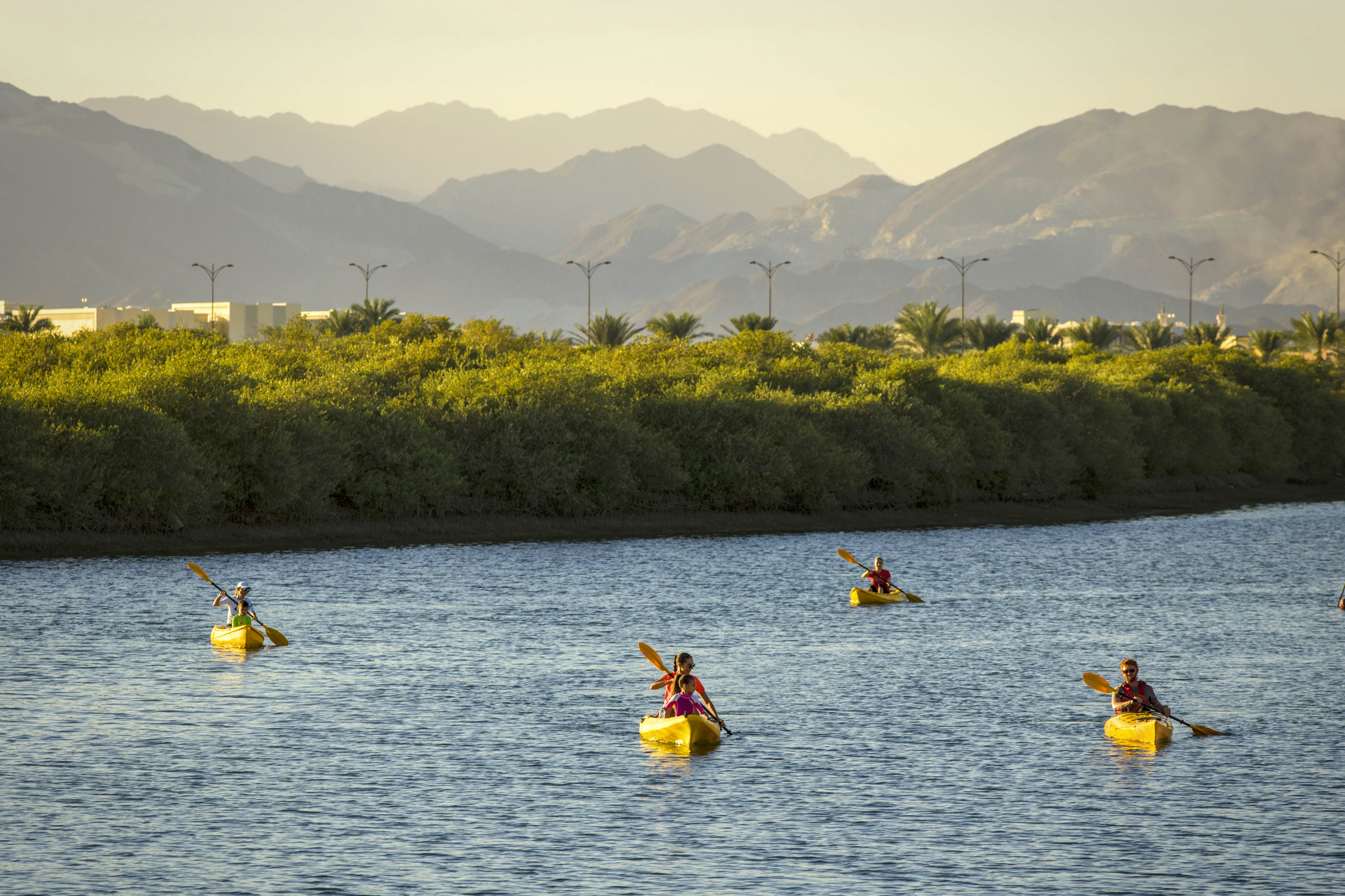 4 kayakers paddling through windy blue waters with mangroves, mountains, and traffic lights visible on the shore