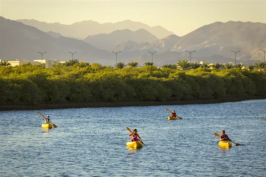 2_kayaking.jpg 4 kayakers paddling through windy blue waters with mangroves, mountains, and traffic lights visible on the shore