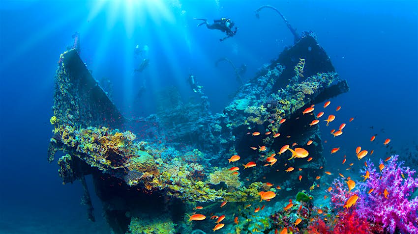 The Red Sea A diver exploring an underwater shipwreck surrounded by colourful fish and coral