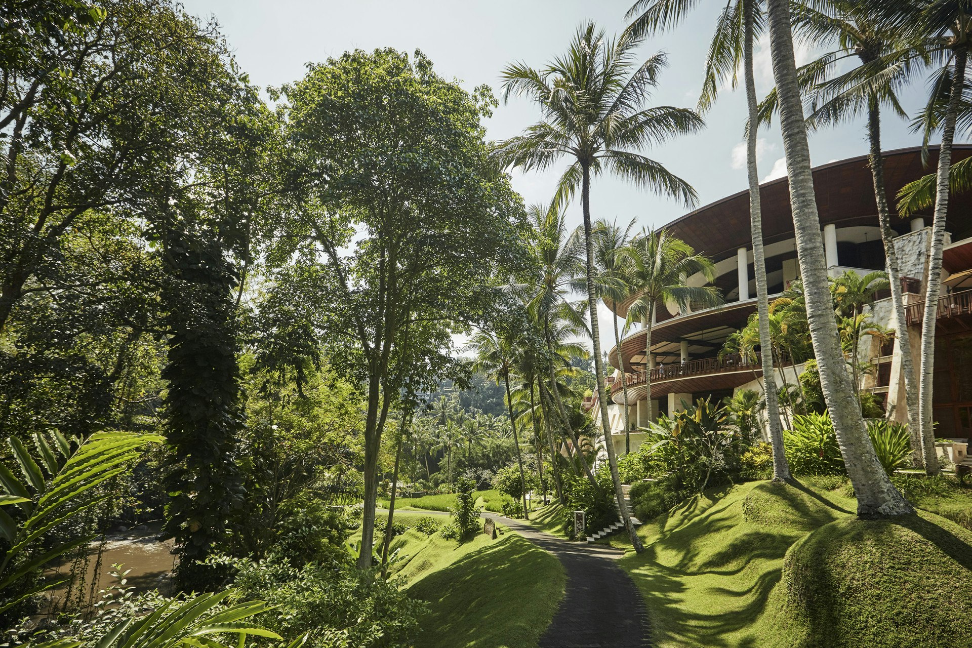 8. The hotel surrounded by jungle foliage.jpg