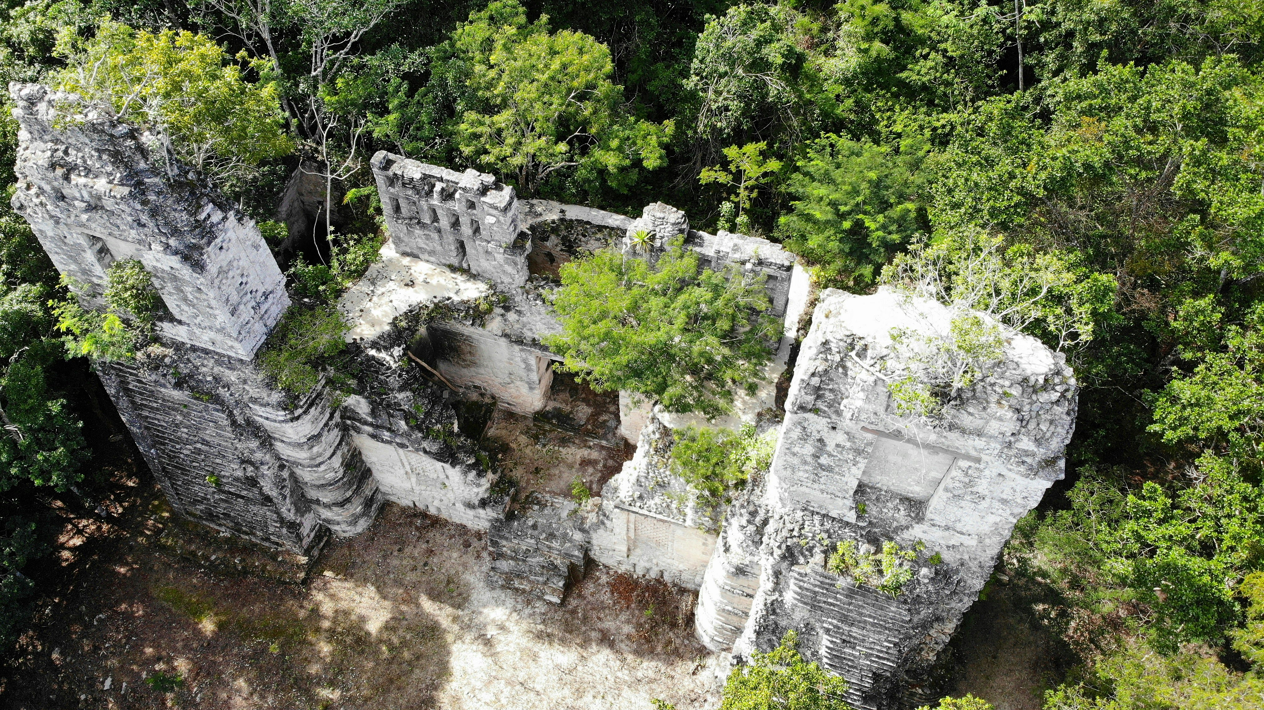 Aerial shot of Mayan ruins with trees surrounding and growing from the rocks