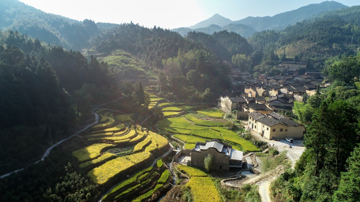 An aerial view of the Paddy Field Bookstore in China