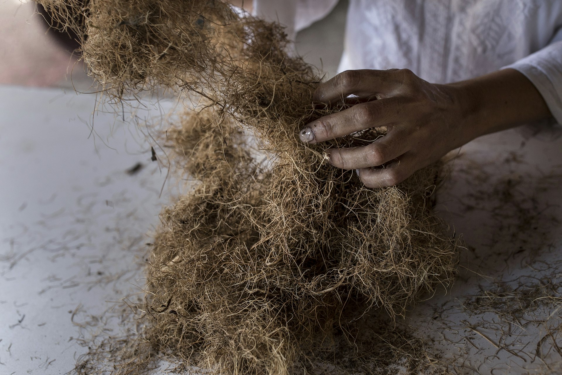 Worker sorts through agave fibers.jpg