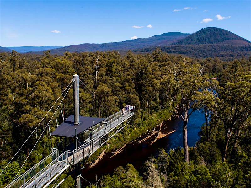 Shot from above, the image looks down on a metal walkway that cantilevers over a section of river; the whole scene is dominated by the forest, which extends into the distant hills.