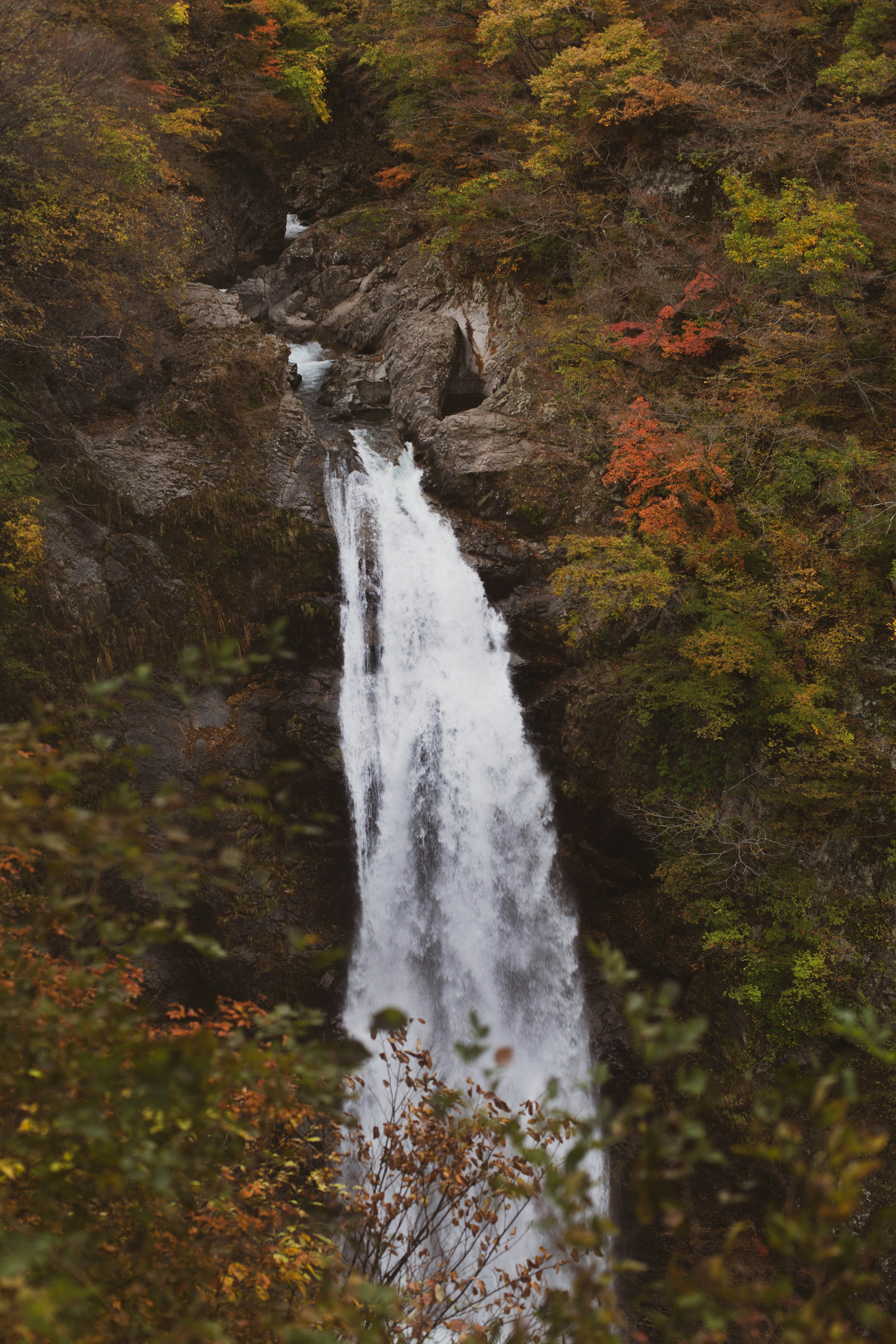 The Akiu Otaki waterfall in Miyagi Prefecture flows quickly amidst autumnal foliage