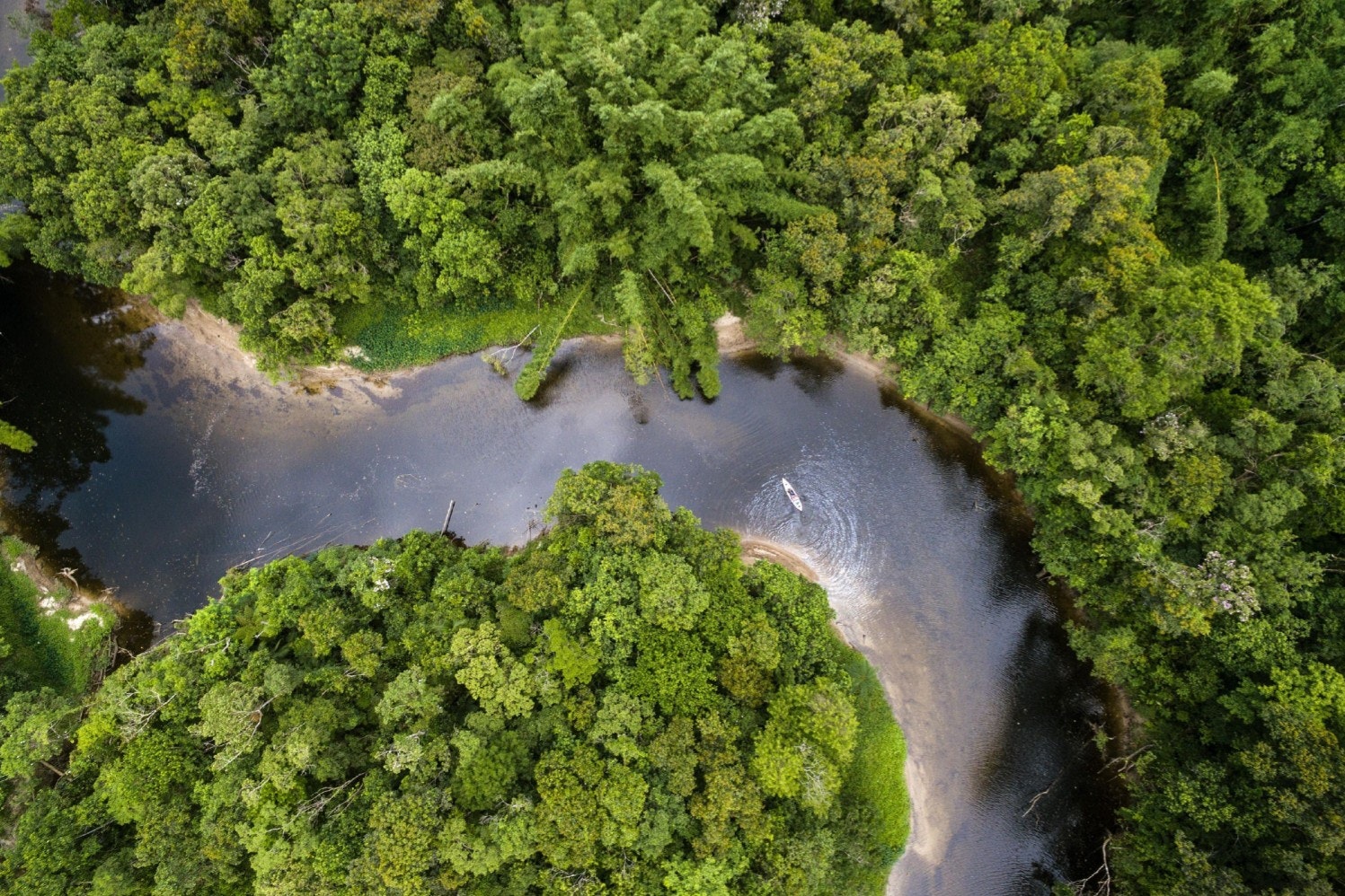 Aerial of a kayaker in a river in the Amazon Rainforest.