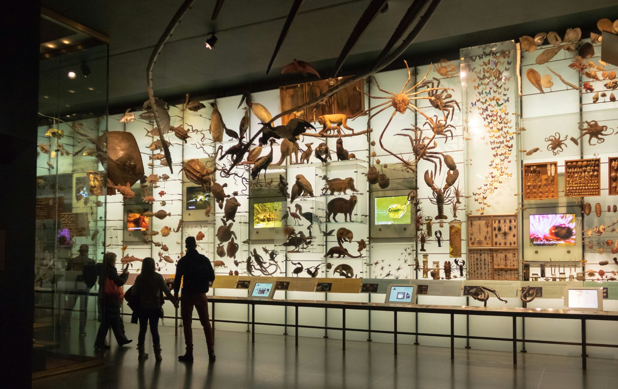 Visitors look at exhibits inside the Hall of Biodiversity at the American Museum of Natural History in New York City.  