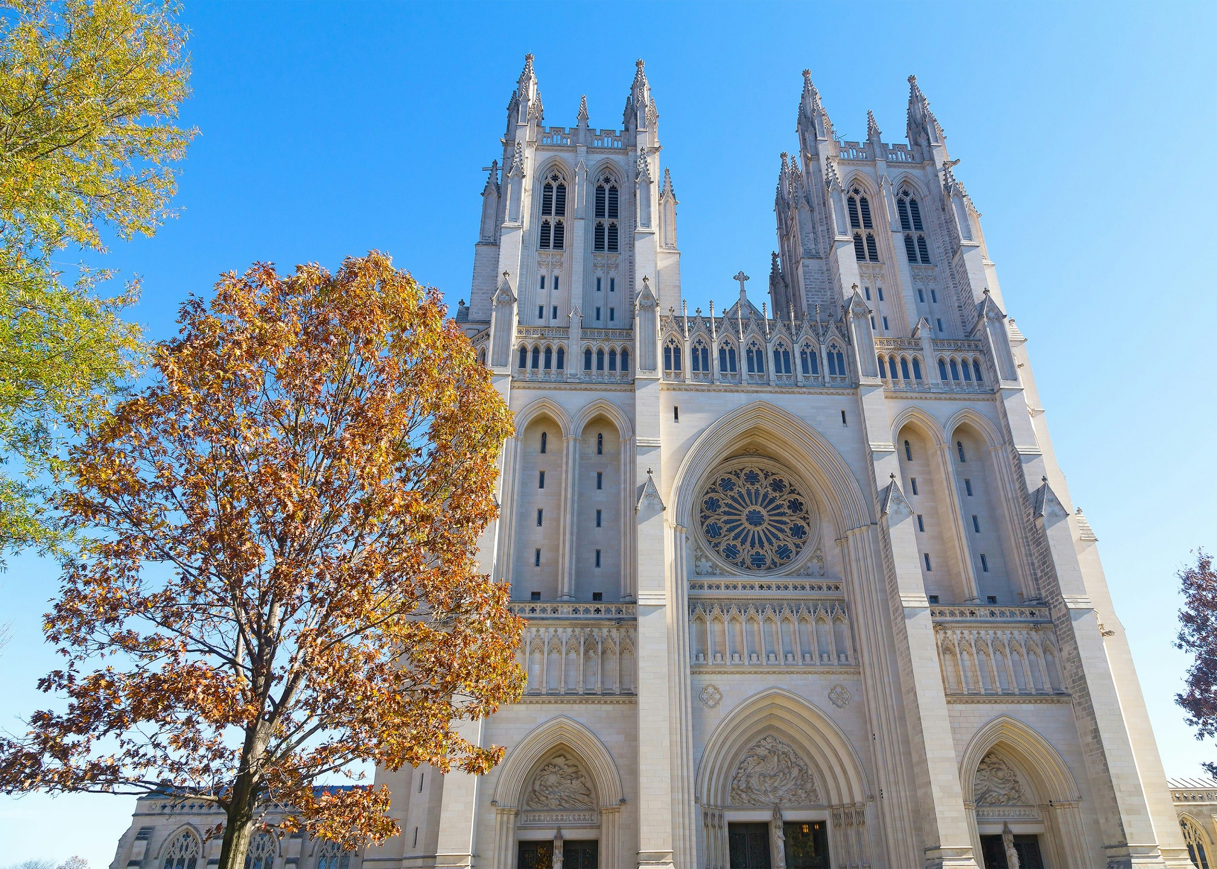 The National Cathedral in Washington DC rises up behind some lovely cherry trees, as its many buttresses, arches and rose window are highlighted; Best American architecture