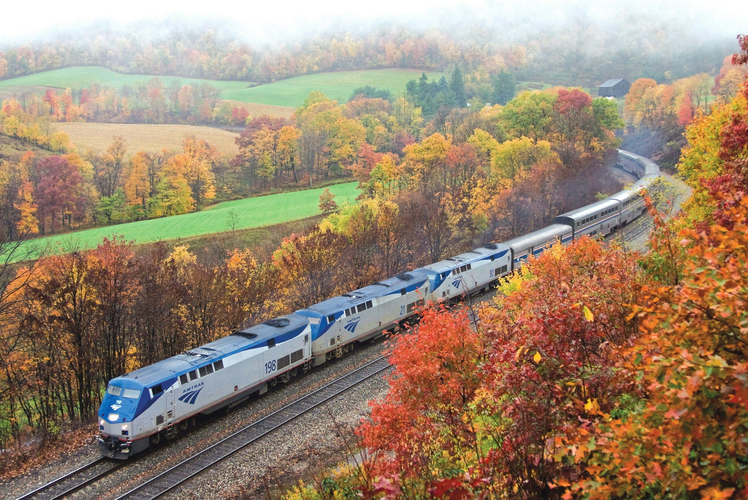 An Amtrak train travelling through autumn foliage