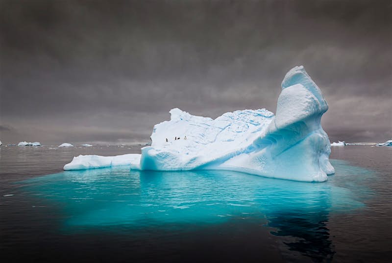 Penguins on an iceberg submerged in dark waters.