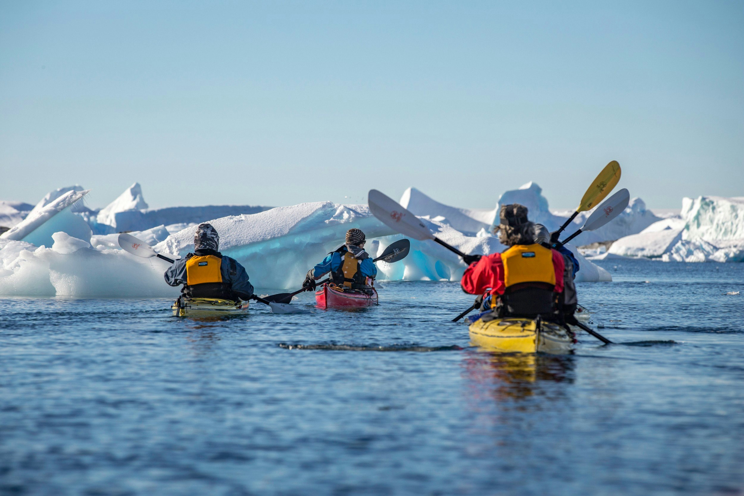 Kayakers in the water in the Antartic
