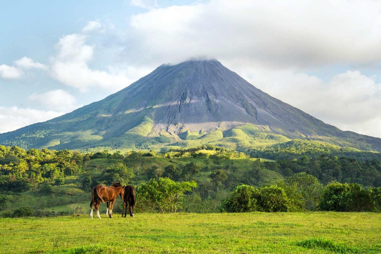 Two horses in front of the Arenal volcano, in Arenal Volcano National Park, Costa Rica, on a sunny day. Alajuela, Costa Rica 