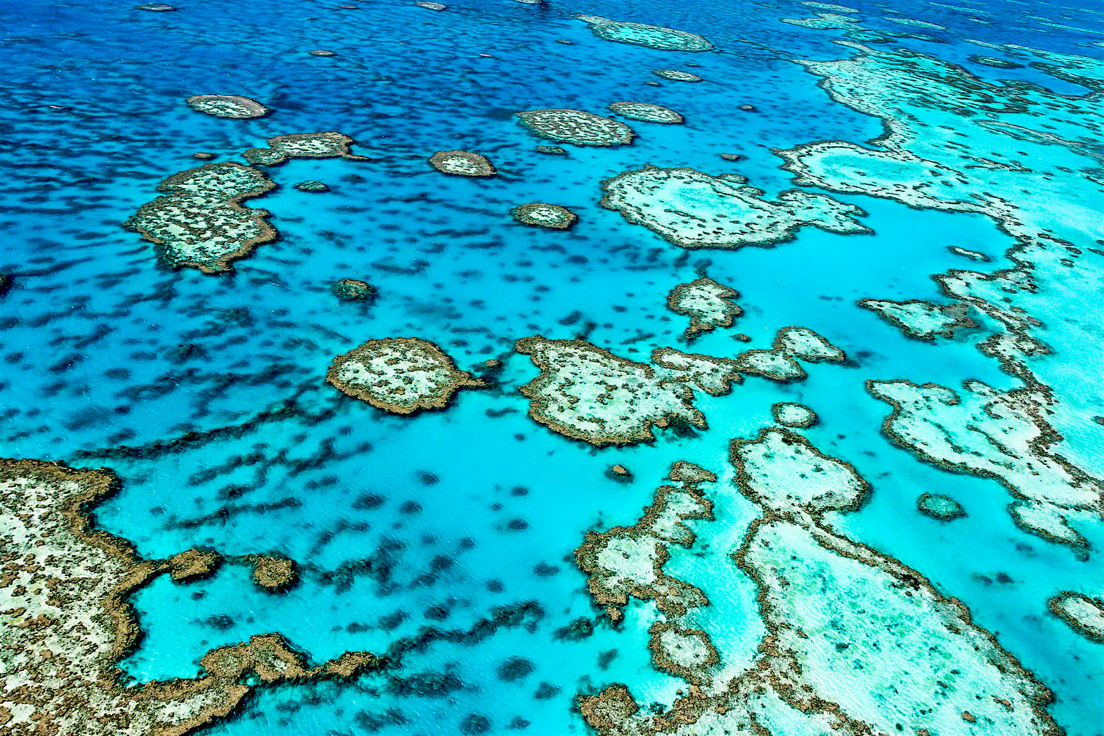 Australia's Great Barrier Reef Aerial view of the coral formations of Australia's Great Barrier Reef, surrounded by clear blue water.