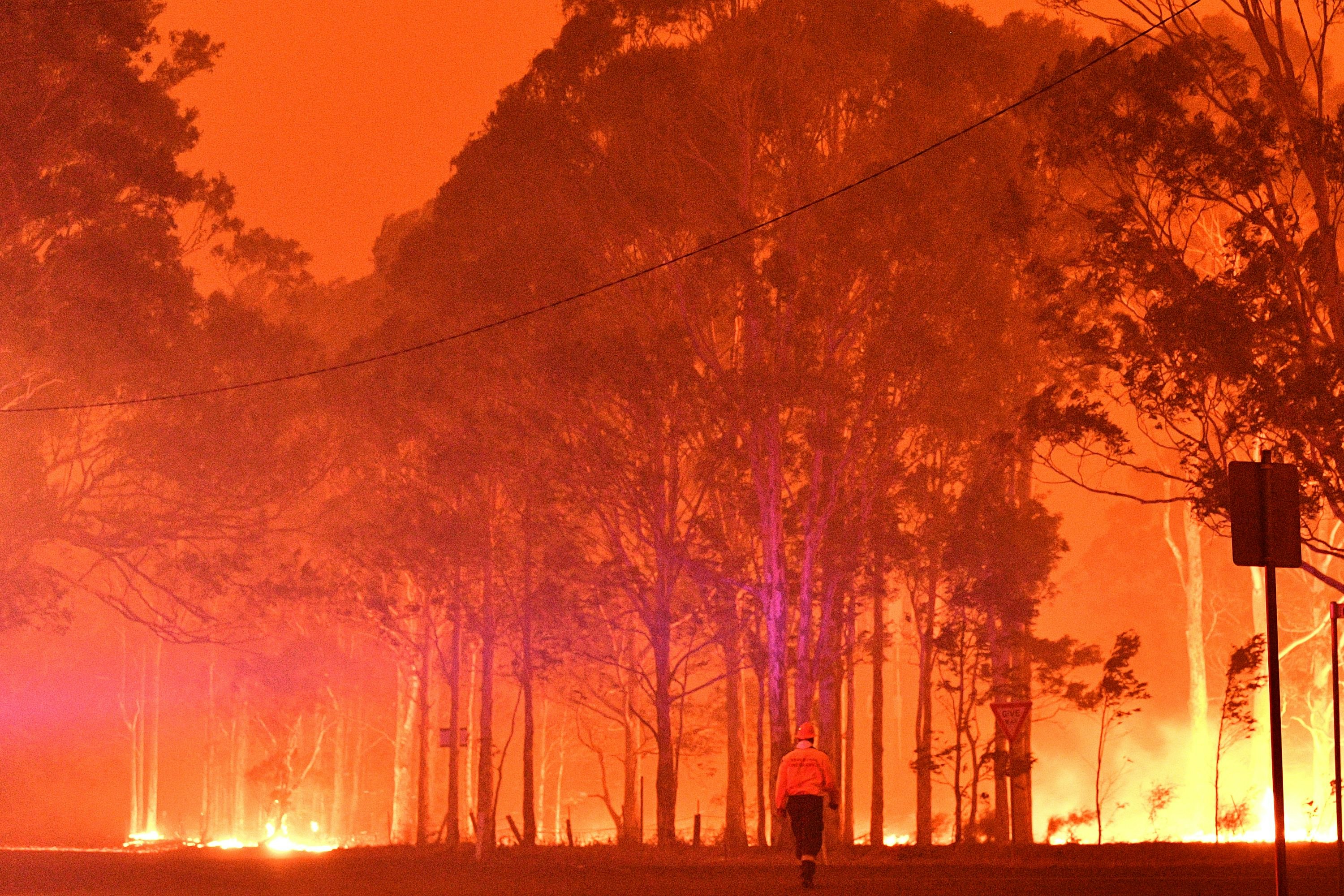 Australian bushfire.jpg
