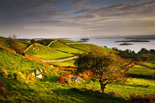 Autumnal-Ireland.jpg