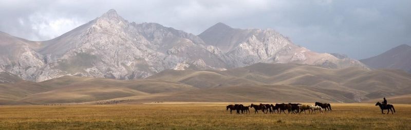 Animals grazing at the foot of mountains.jpg