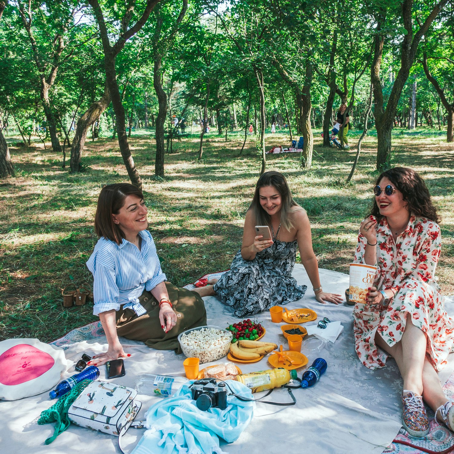 Baia-with-friends-having-picnic-at-Lisi-Lake.jpg