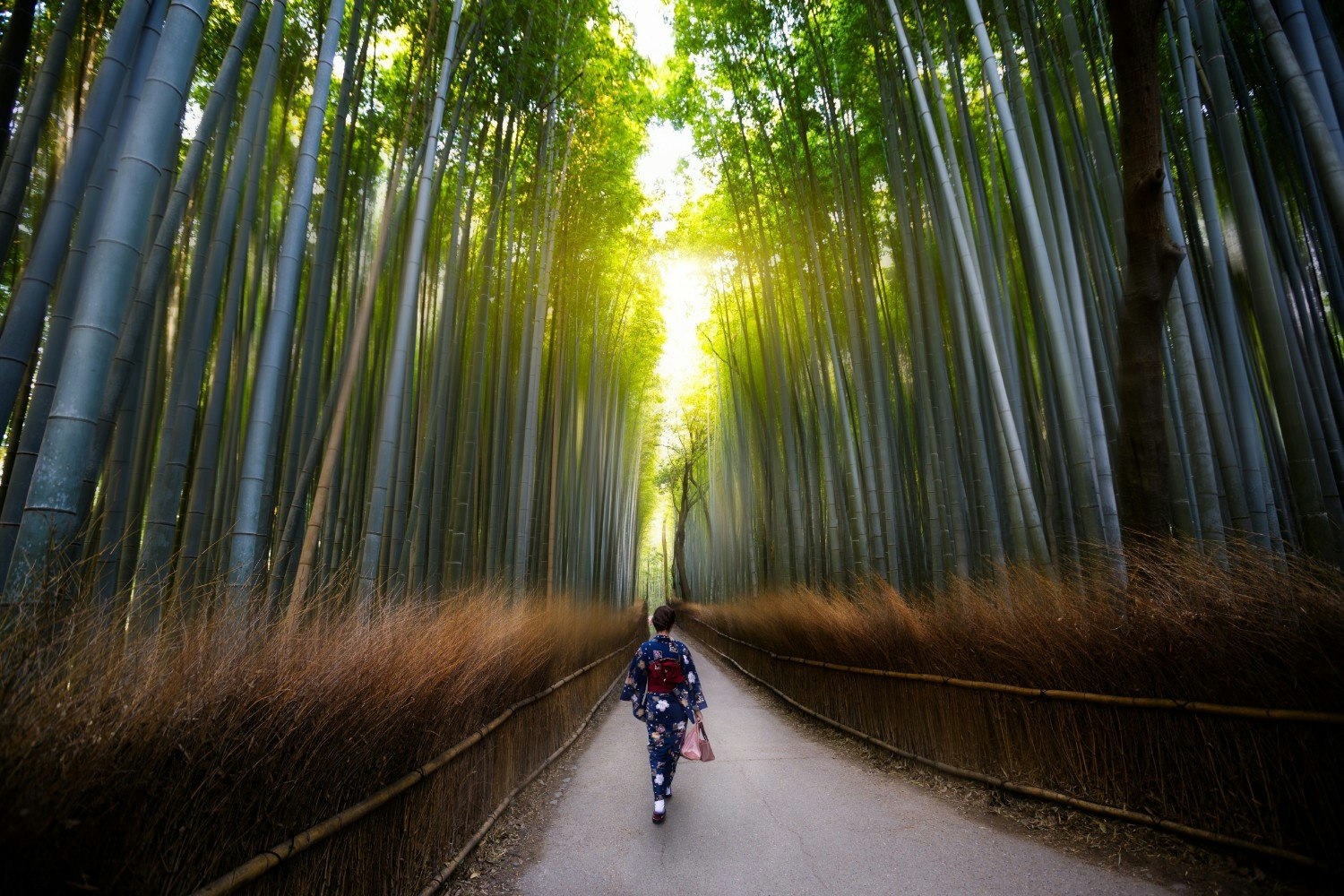 A person walking through the bamboo groves of Arashiyama, Kyoto, Japan