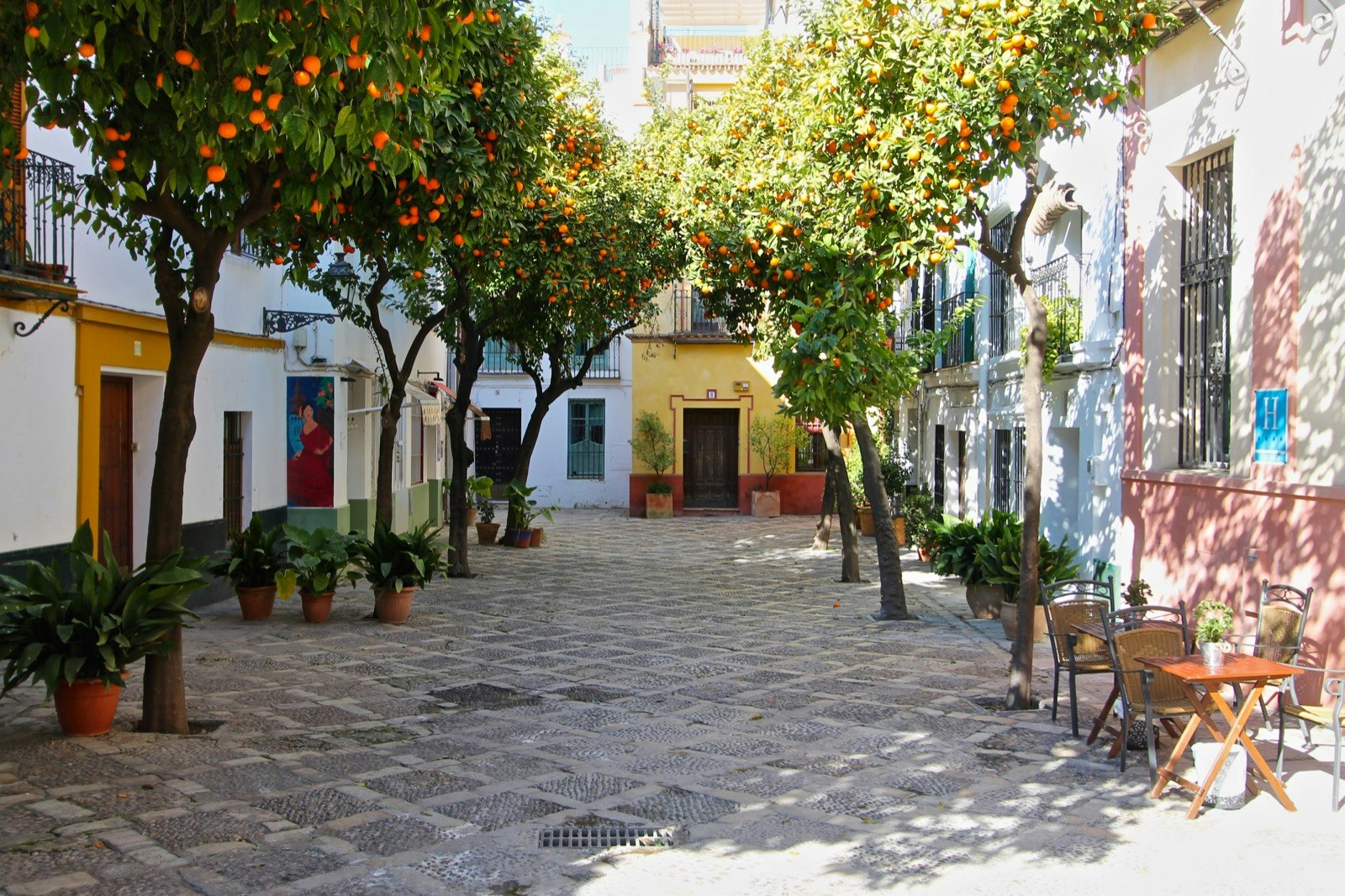 Narrow alleyway lined with orange trees and bistro tables