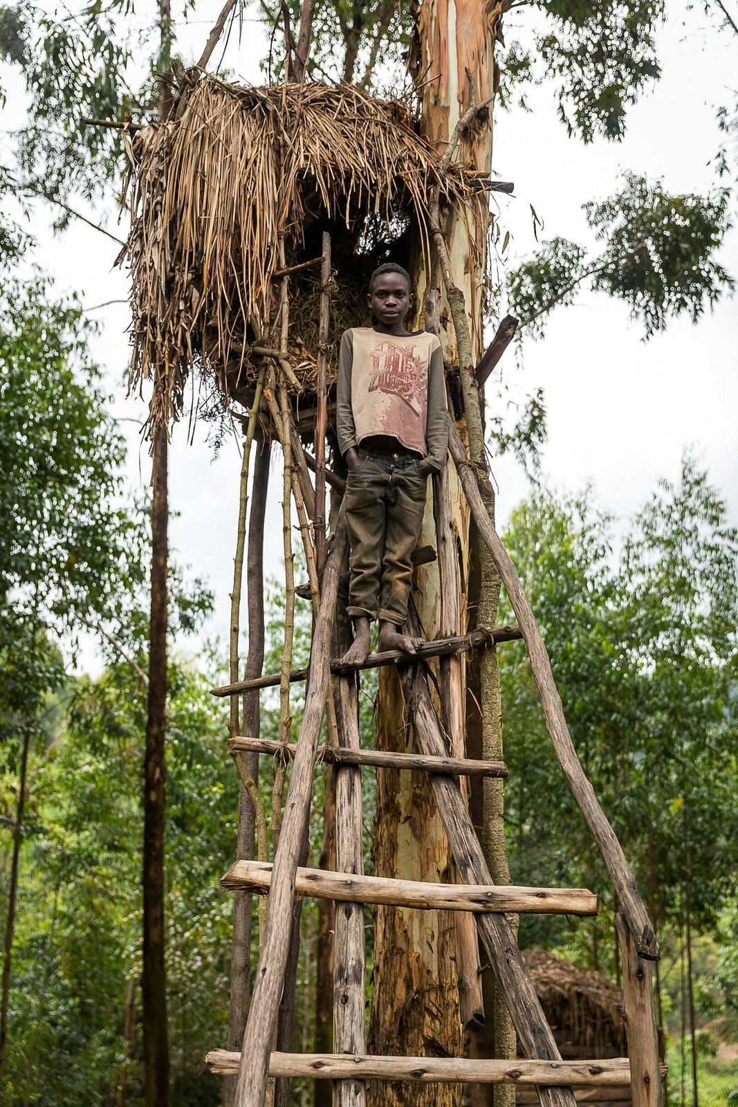 A young boy stands atop a make-shift, A-framed log ladder that leads to a small grass shelter built up in a tree.