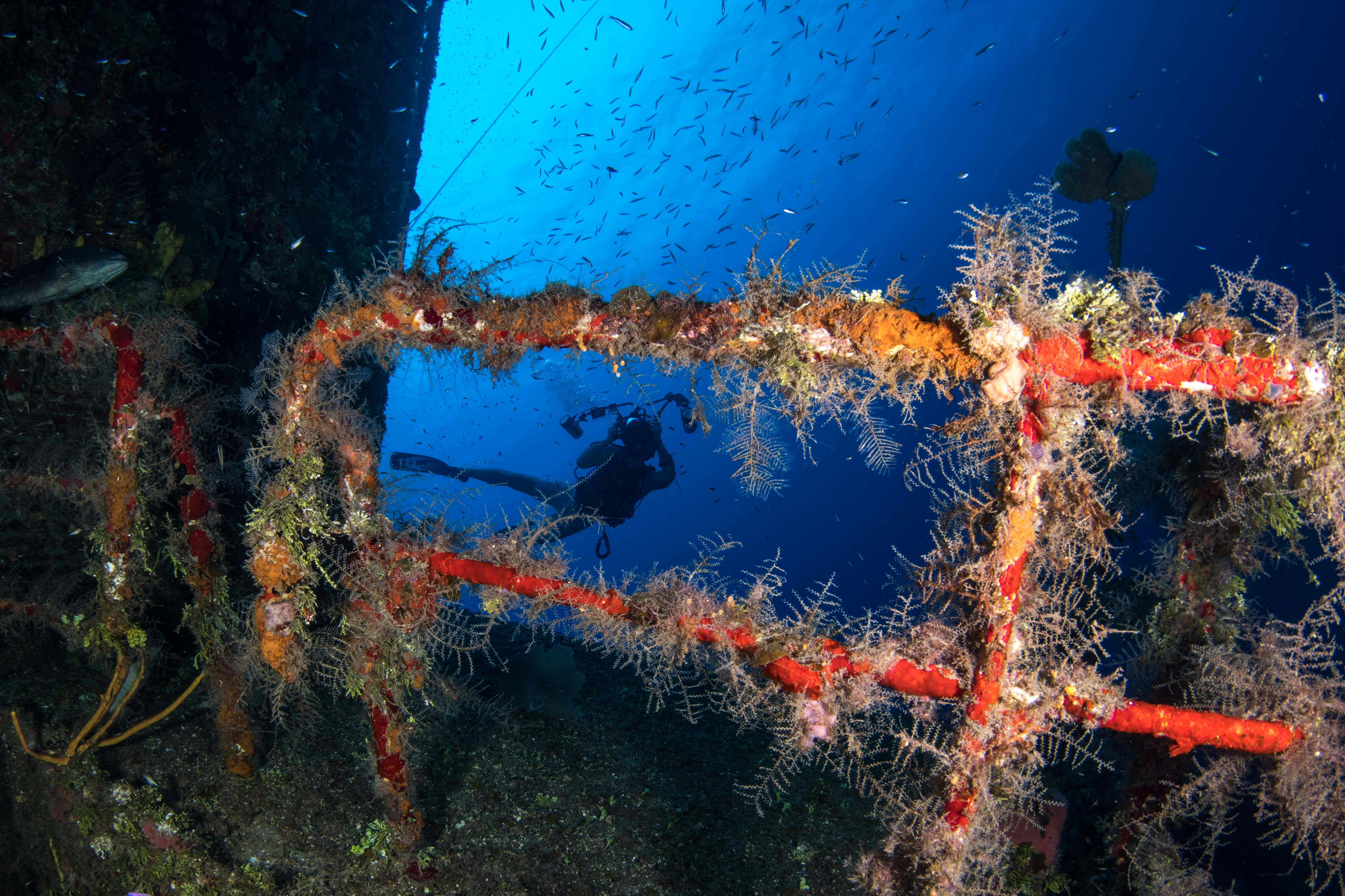The railing of an artificially sunken ship is covered with marine wildlife. In the background, a diver holds a large underwater camera while taking photos of a school of fish.