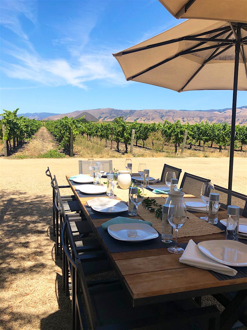 A table is set for dinner next to rows of grapevines.