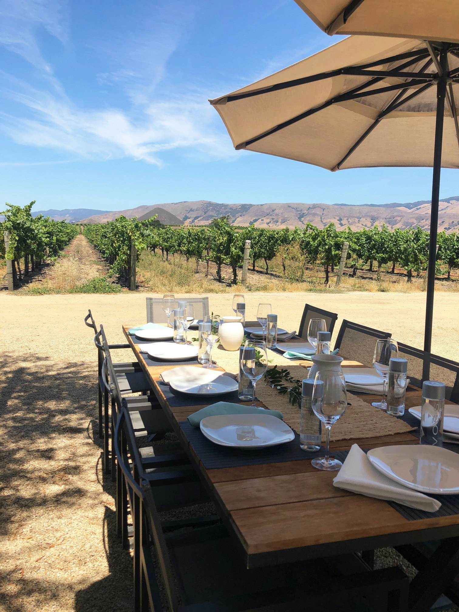 A table is set for dinner next to rows of grapevines.