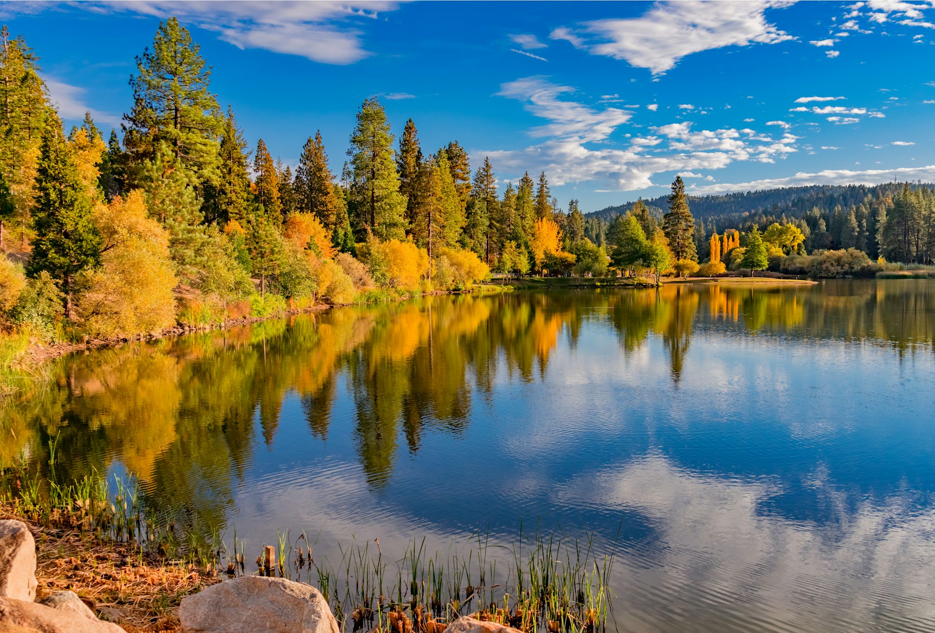 Yellow leaves adorn the trees that surround the crystal blue Big Bear Lake in California