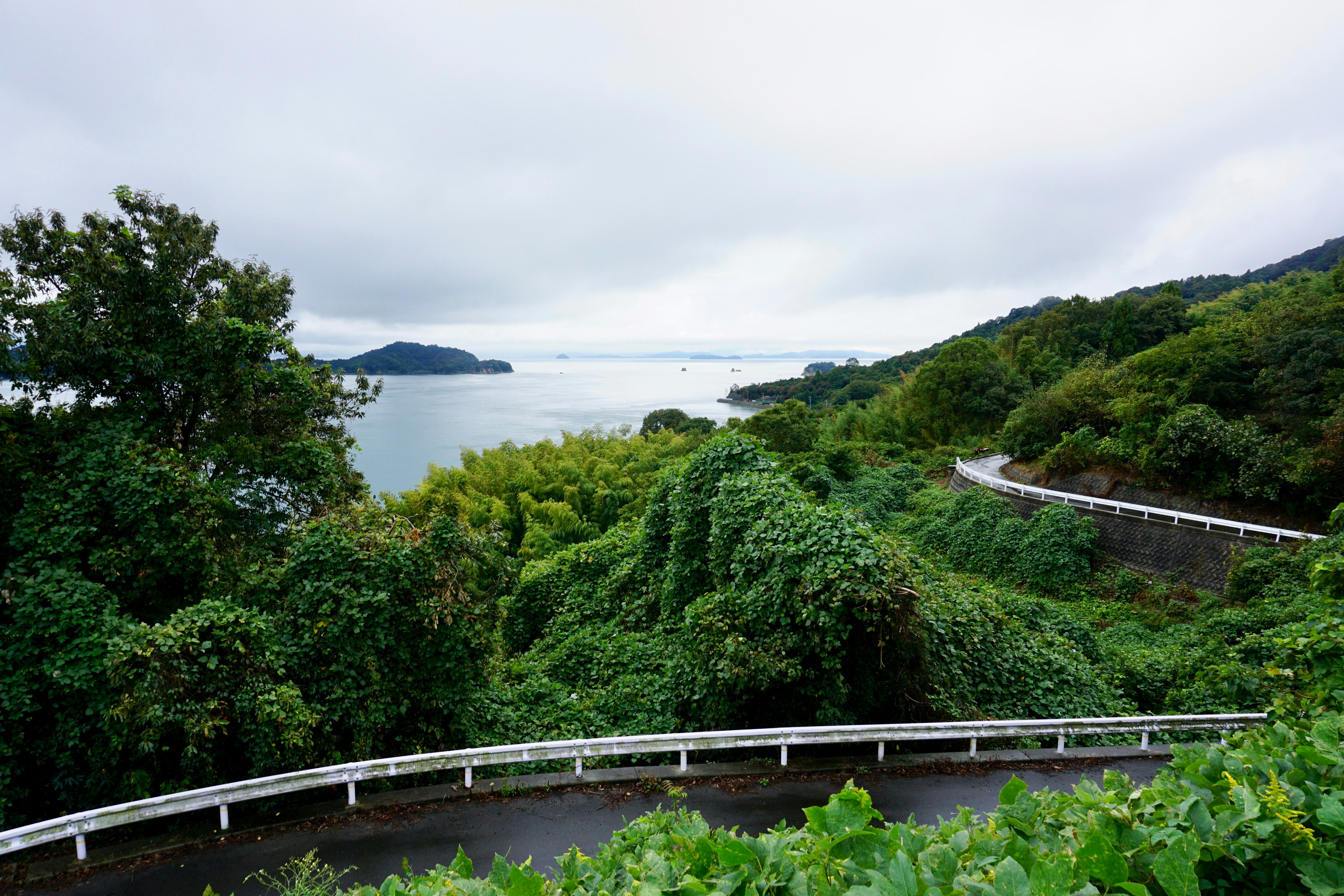Lush, bright green and variegated trees and vines coat the hillsides around the Tobashima Kaido. The ribbon of black roads and white guardrails twisting and turning with a silvery Seto Inland Sea and blue mountain islands in the left background of the shot.