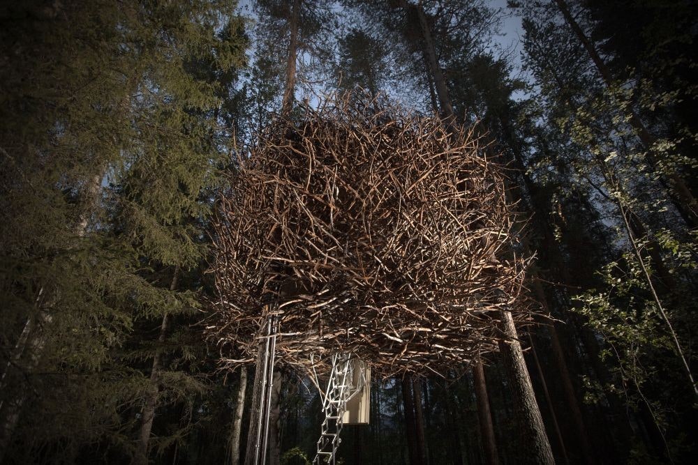 A structure in the shape of a giant bird's nest suspended between trees.