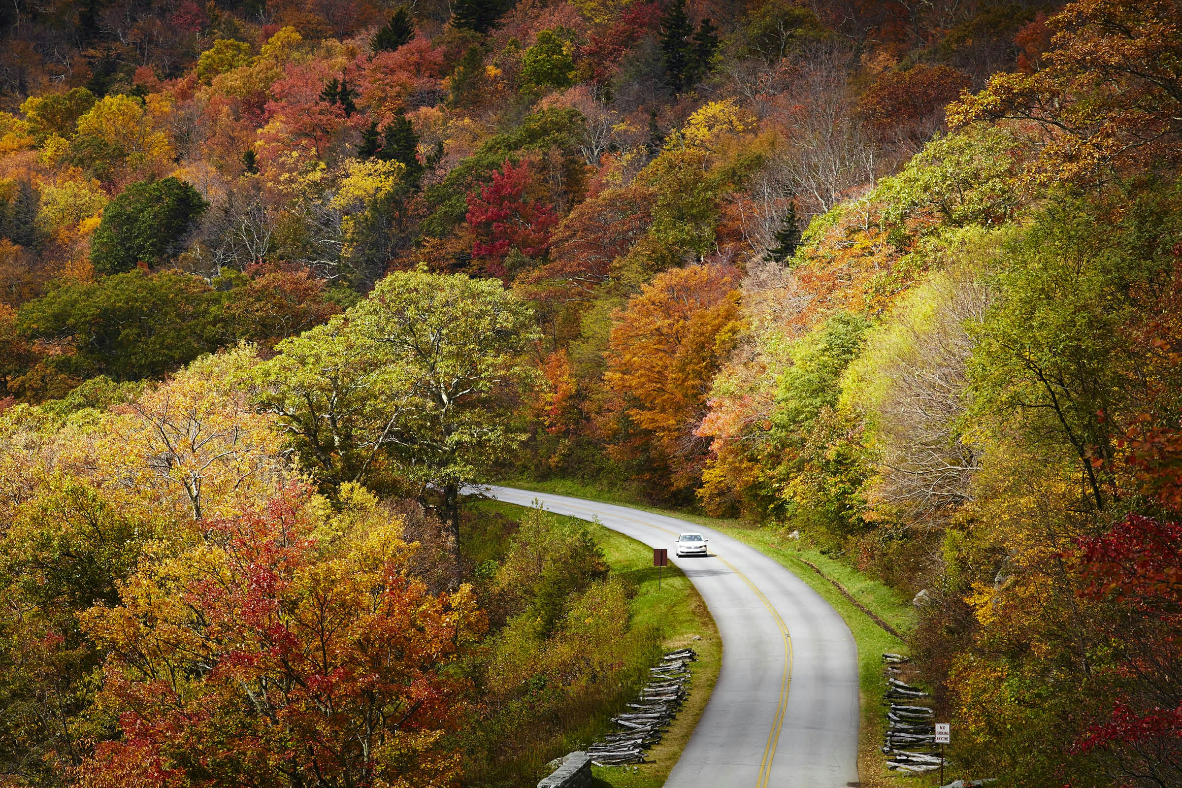 A multitude of colours along a bend in the the Blue Ridge Parkway