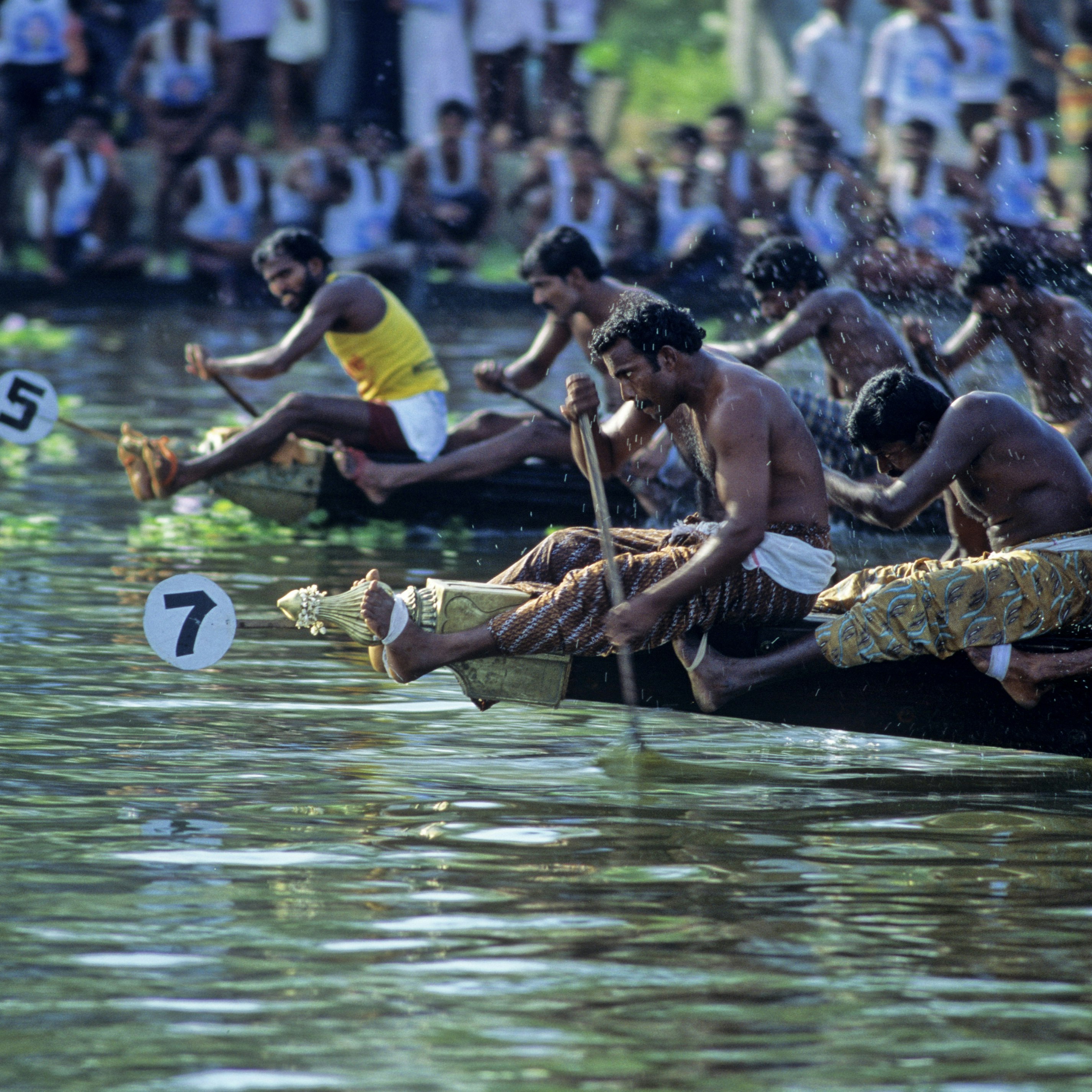 Boat_races_Kerala.jpg
