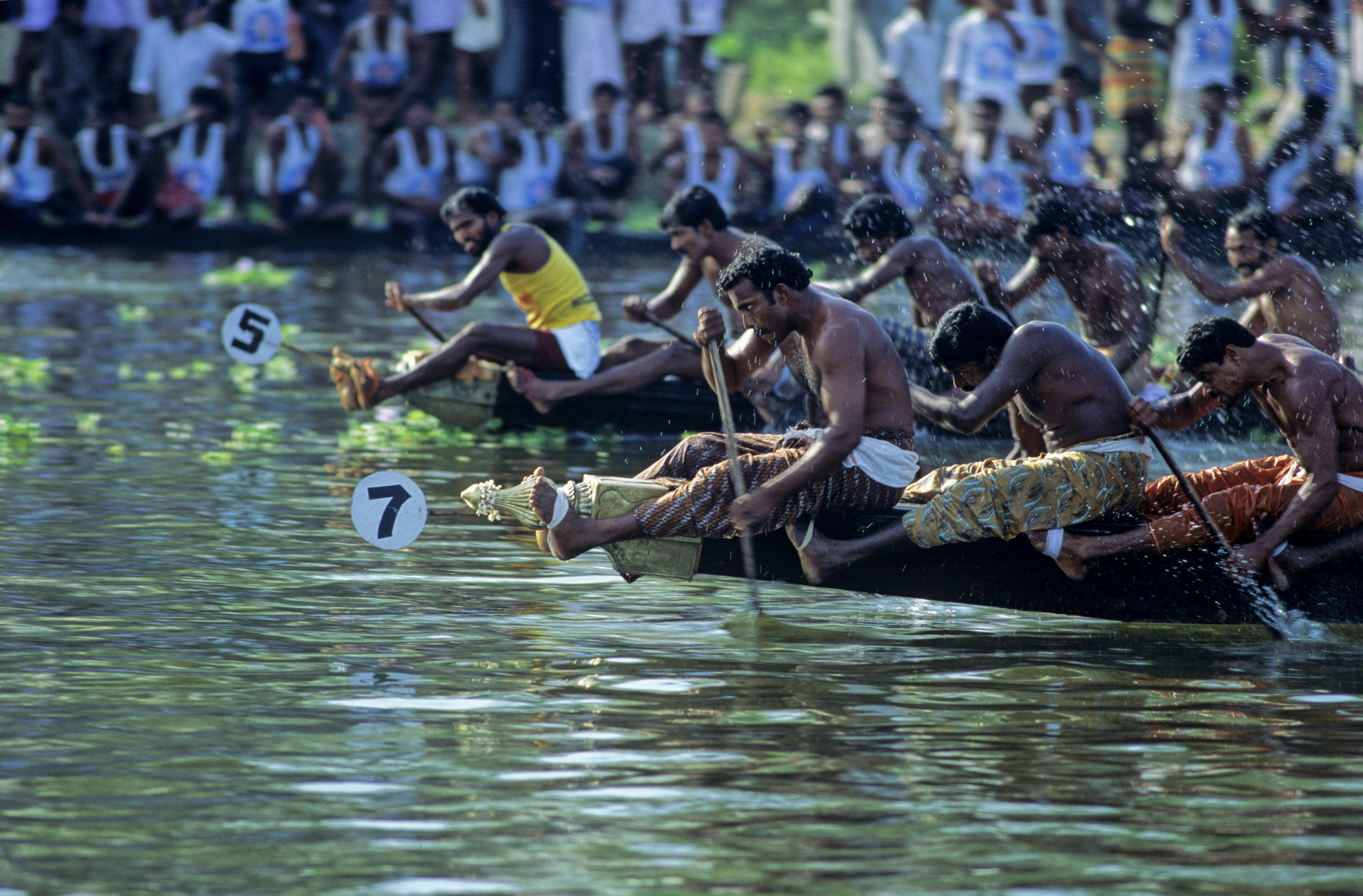 A side view of two snake boats racing in Kerala. The race and neck, and the lead rower in the far boat is looking over to check whether his team is in the lead.