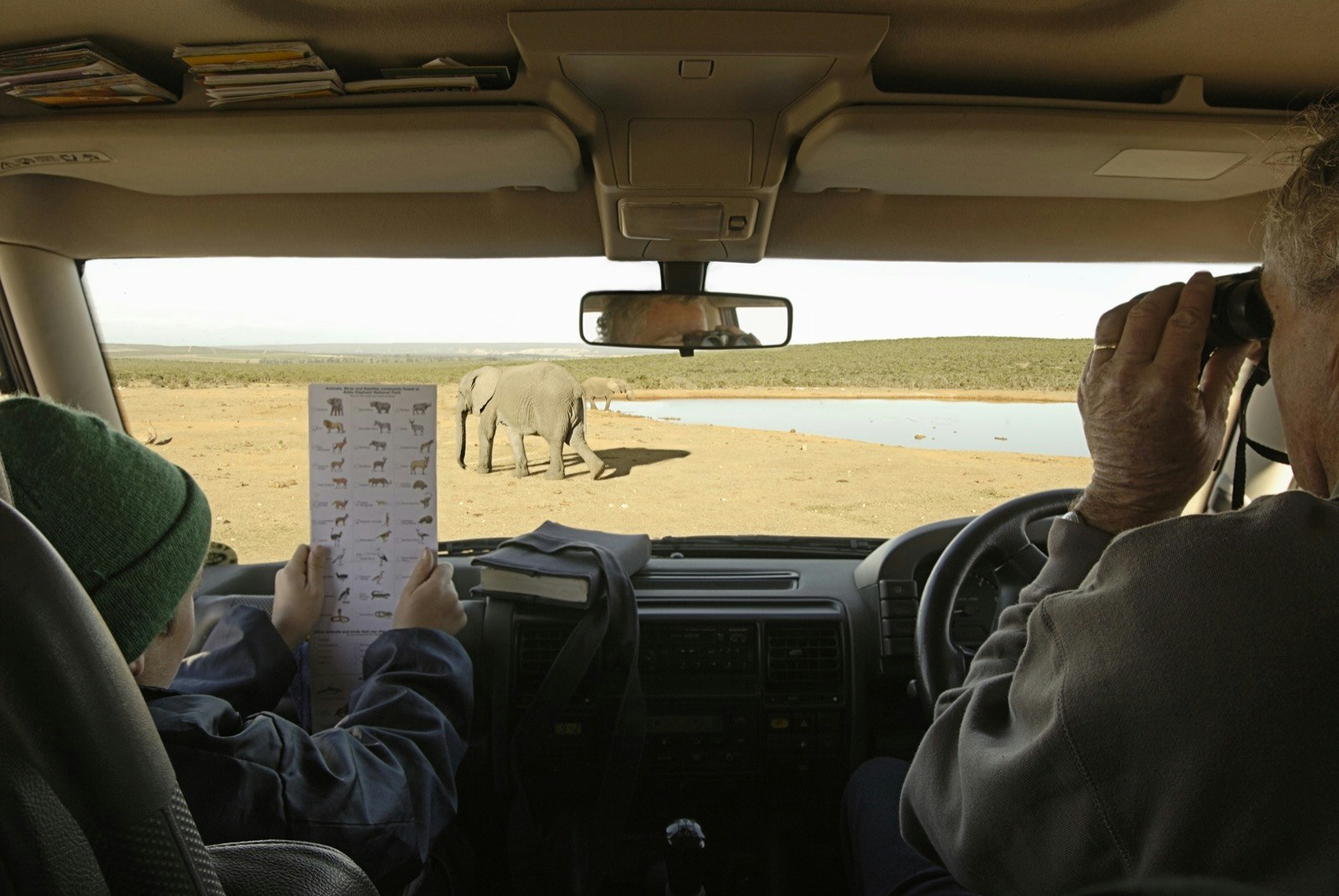Boy with grandfather in a jeep looking at elephants