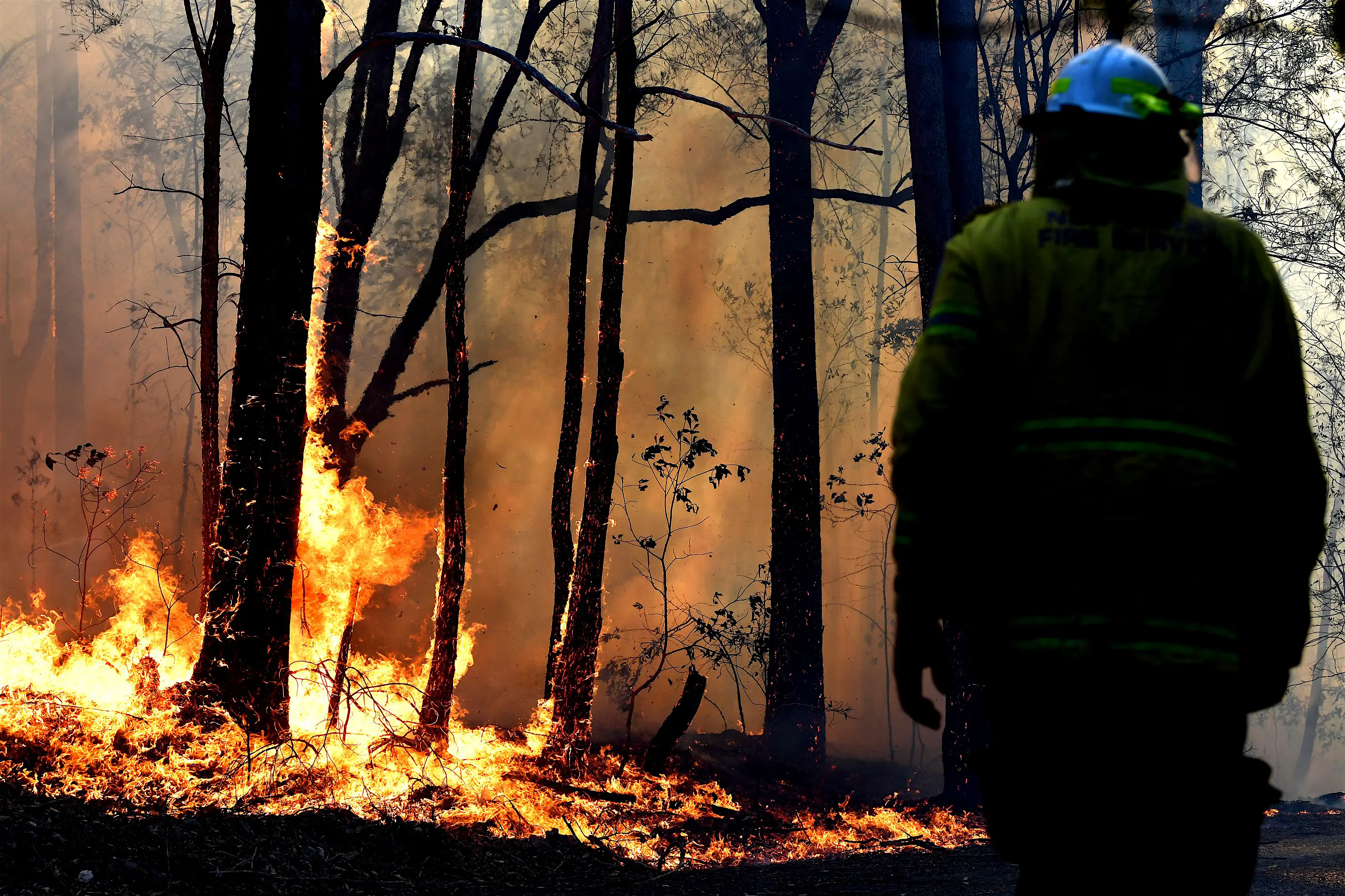 Bushfires Australia.jpg Bushfires in Australia
