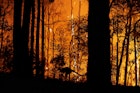Bushfires Canberra.jpg