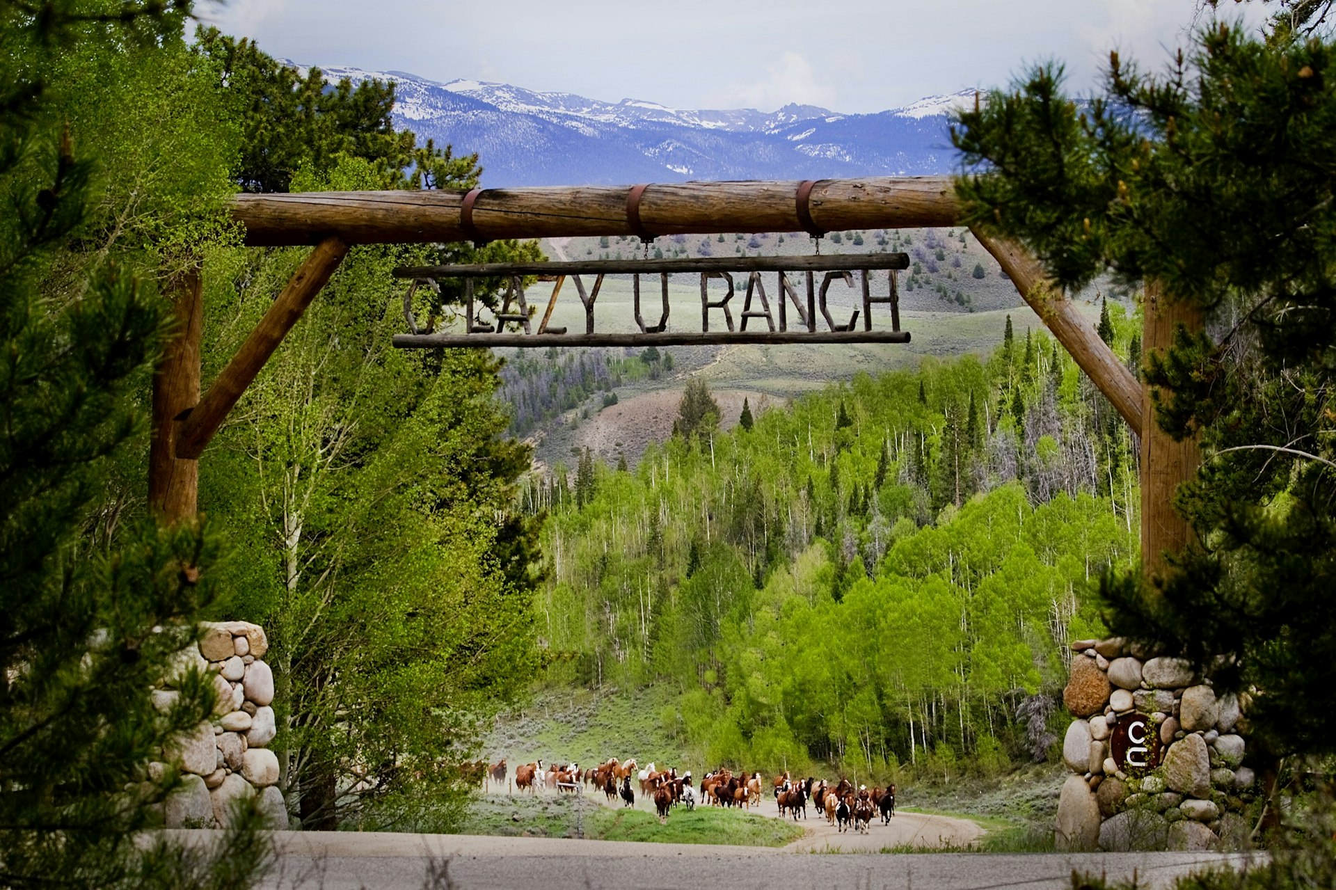 Horses run in the distance behind a rustic wooden archway designating the C Lazy U Ranch