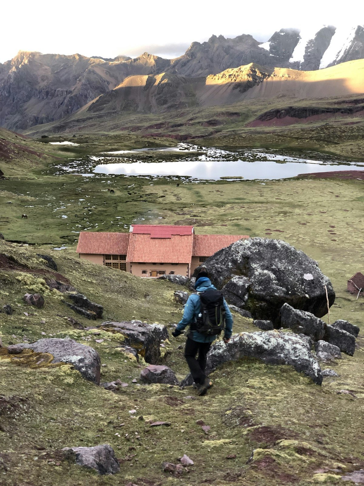 A man hikes down to a cabin nestled high in the mountains surrounded with grazing llamas