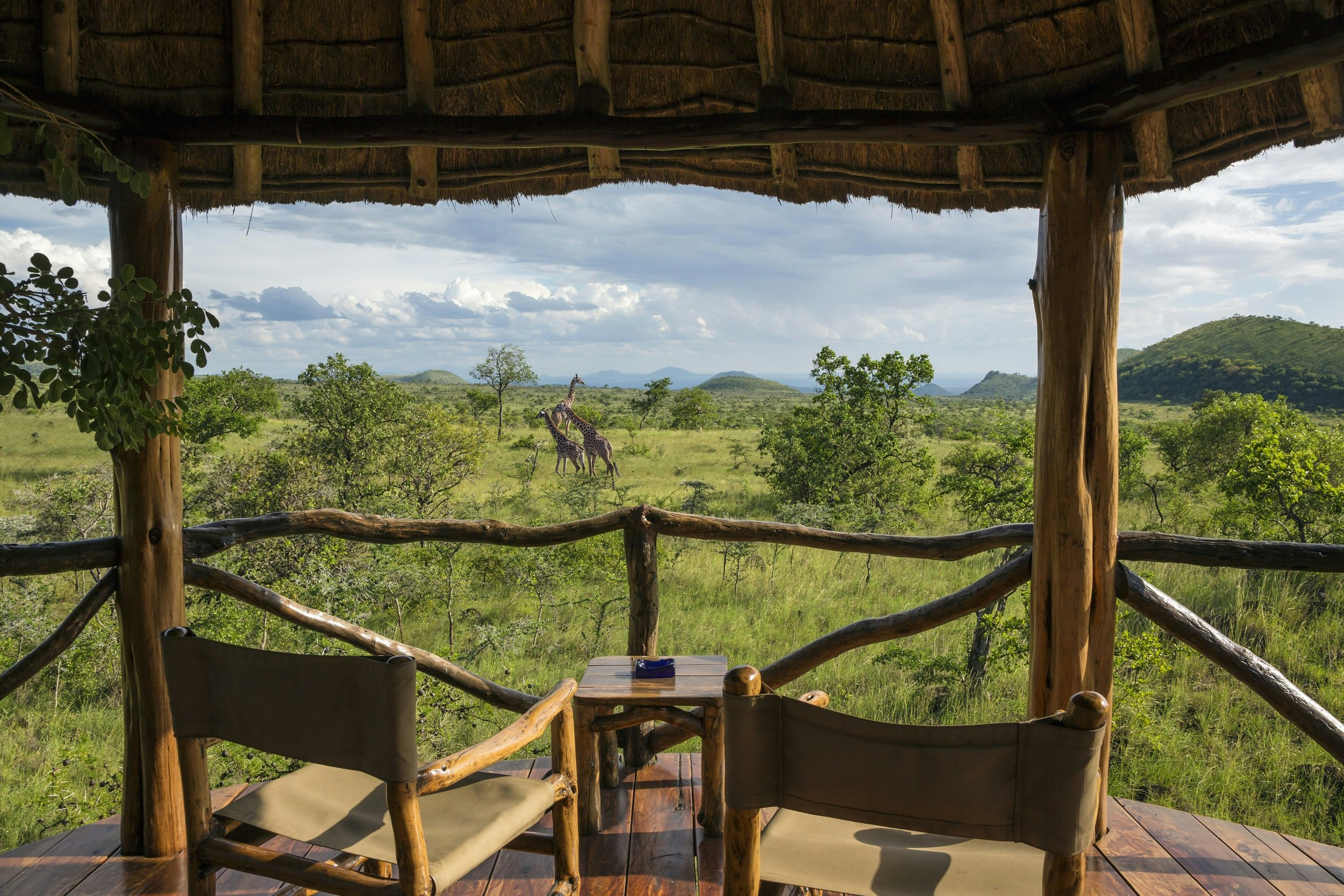 Looking out over a couple of wooden chairs on the balcony of a thatched-roofed lodging building, there are three giraffes walking in the green grass of the Chyulu Hills.