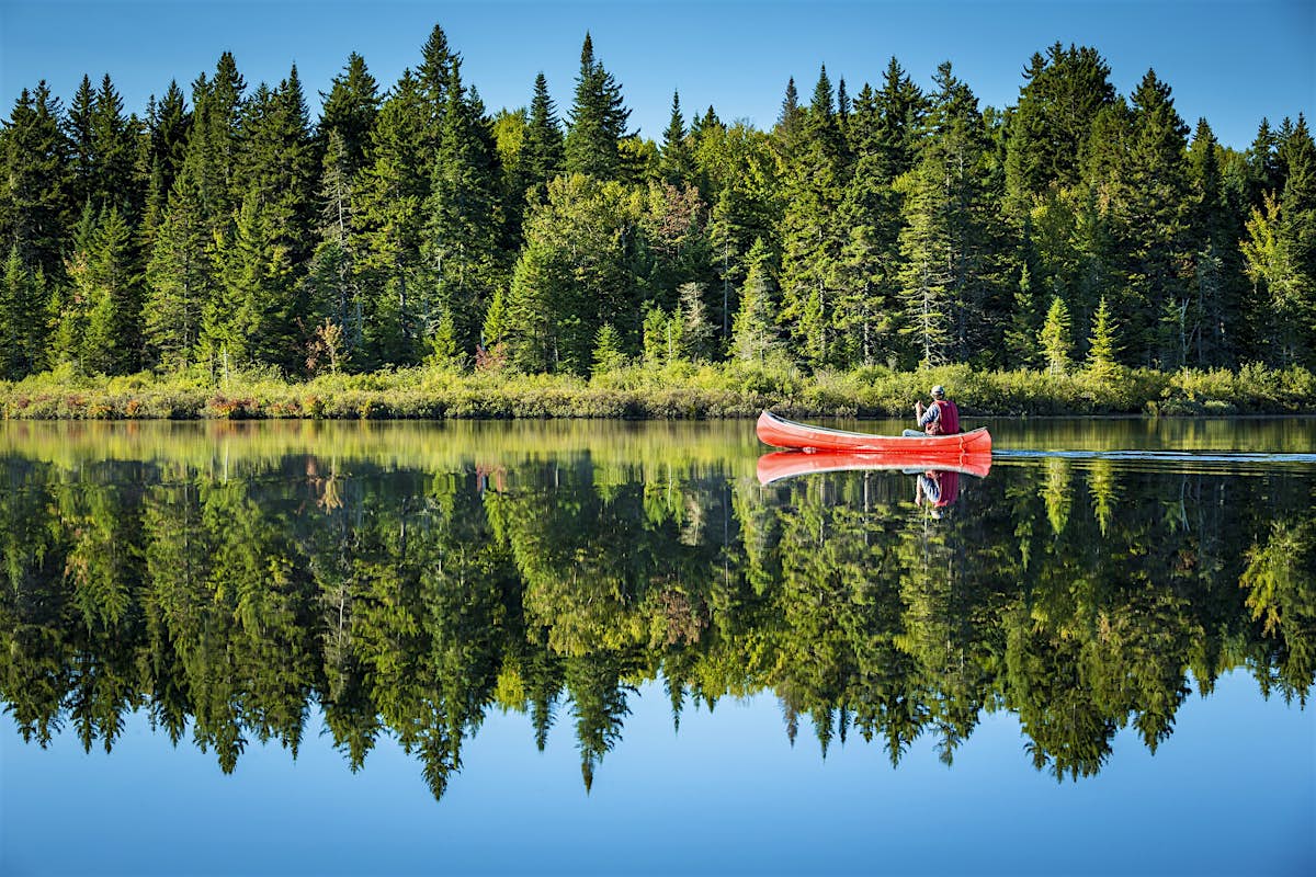 Joseph Banks vandring Afslut Canoe Canada's wilderness on these iconic waterways - Lonely Planet