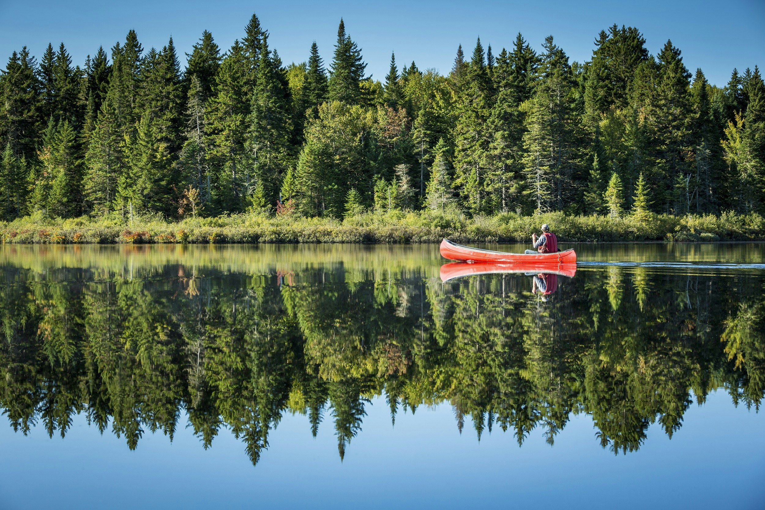 A red canoe paddles down mirror-like waters that are perfectly reflecting the backdrop of forested shore and blue sky.